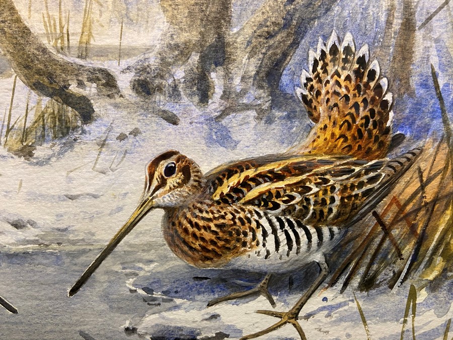 Carl Donner (b.1957), "Snipe in a snowy woodland", watercolour, signed lower right, 35 x 53 cm - Image 3 of 4