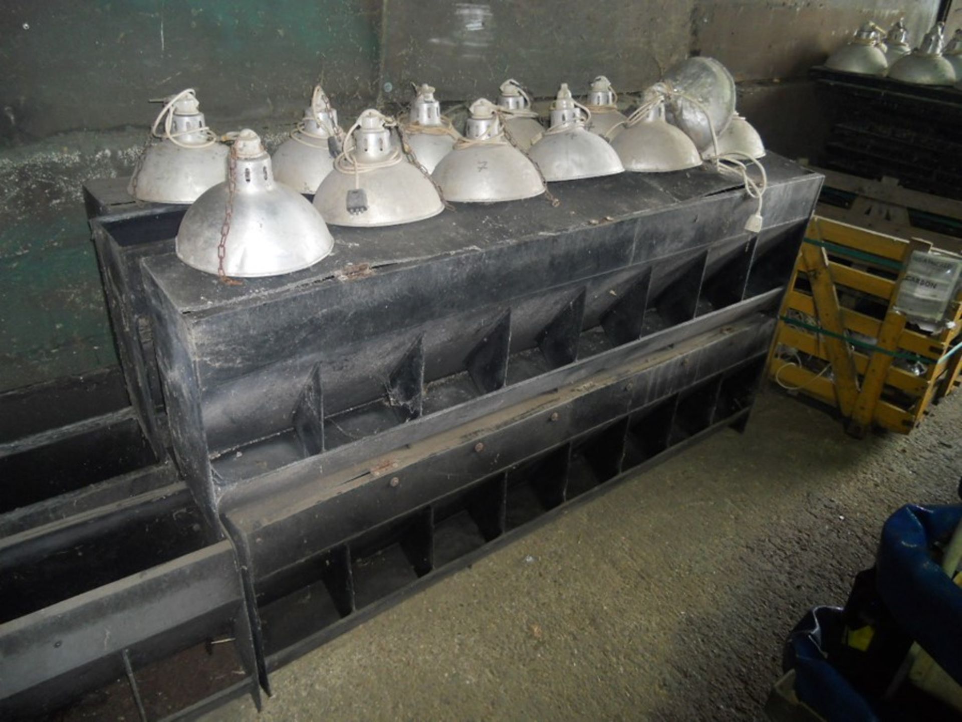 Quantity of infra-red pig heat lamps