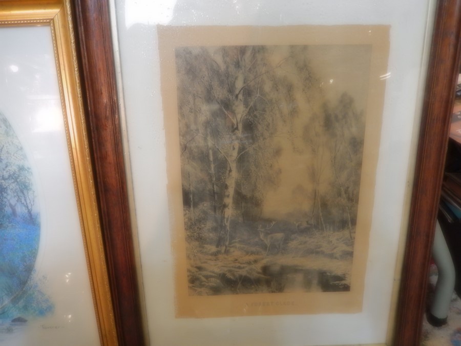 gilt framed picture Nelson, Tavener print and vintage 'forest glade' picture - Image 3 of 3