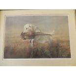 John Naylor Labrador with pheasant ltd edition print