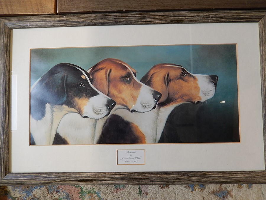 4 framed prints, 3 of horses 21x16 (print only not including mount or frame) and 1 of foxhounds - Image 6 of 6
