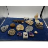 collection of fossils and crystals