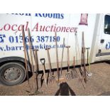 Assorted Garden Tools from House Clearance