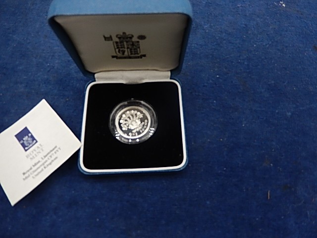 Royal Mint 1991 Silver One Pound Proof - Image 2 of 2