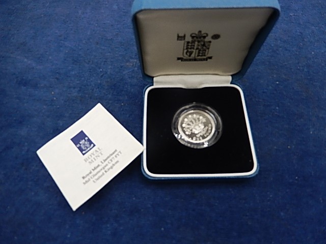 Royal Mint 1991 Silver One Pound Proof