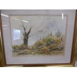 Stan Mawby watercolours, 1 of an owl flying over forestry 56x66 cm in gilt frame and 1 of an Eagle