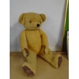 vintage German teddy bear 64cm from head to toe