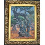 Impressionist style oil on board landscape depicting olive groves 7.5" x 10" in gilt frame signed