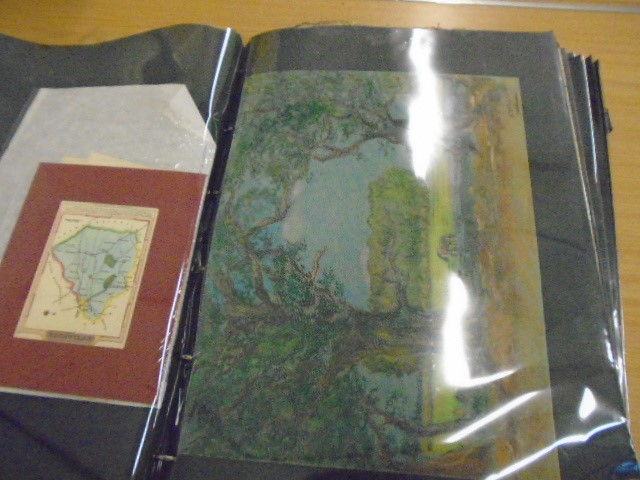 A black carry case with some 25 'pages' of prints- various about 150 in total - Image 3 of 4