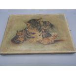 Oil on Canvas of Cats 10 x 7 inches signed N A