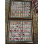 Framed cigarette cards of flowers x2