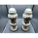 Pair of lidded jars 15 inches tall