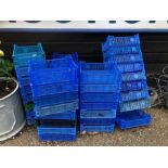 Blue plastic trays