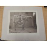 Elliot and Fry mounted photograph signed of man on hackney horse