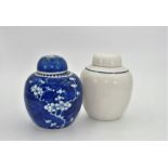 LATE 19TH CENTURY CHINESE BLUE AND WHITE GINGER JAR WITH LID, painted with blossom in white on a