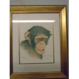 Stephen Gayford 'curious' limited edition signed print