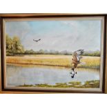 P. Welch (C 20th East Anglian Wildlife Artist) framed oil on board depicting Marsh Harriers over the