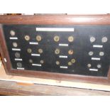French Coinage 1920-1940 in oak framed wall display