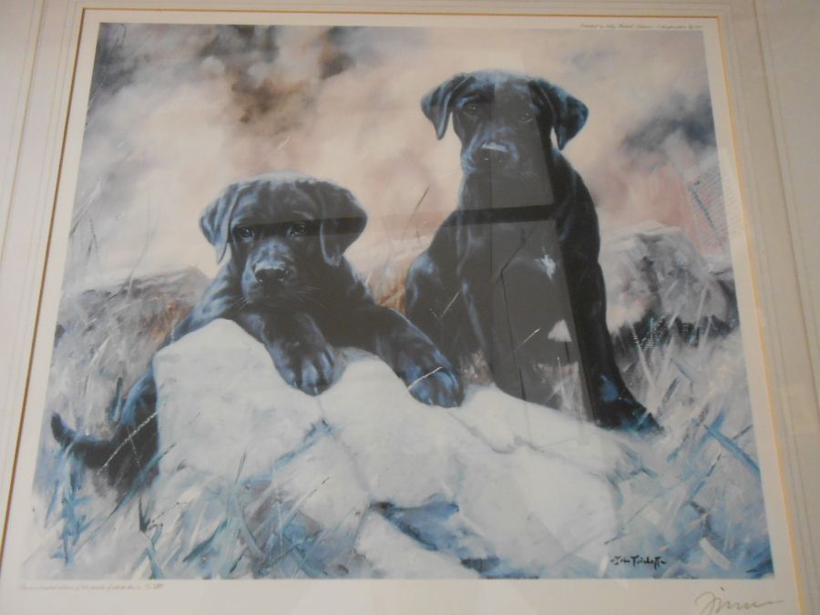 JOHN TRICKETT Limited Edition Dog Print no 280 of 850 18 x 15 inches. signature in margin - Image 2 of 4