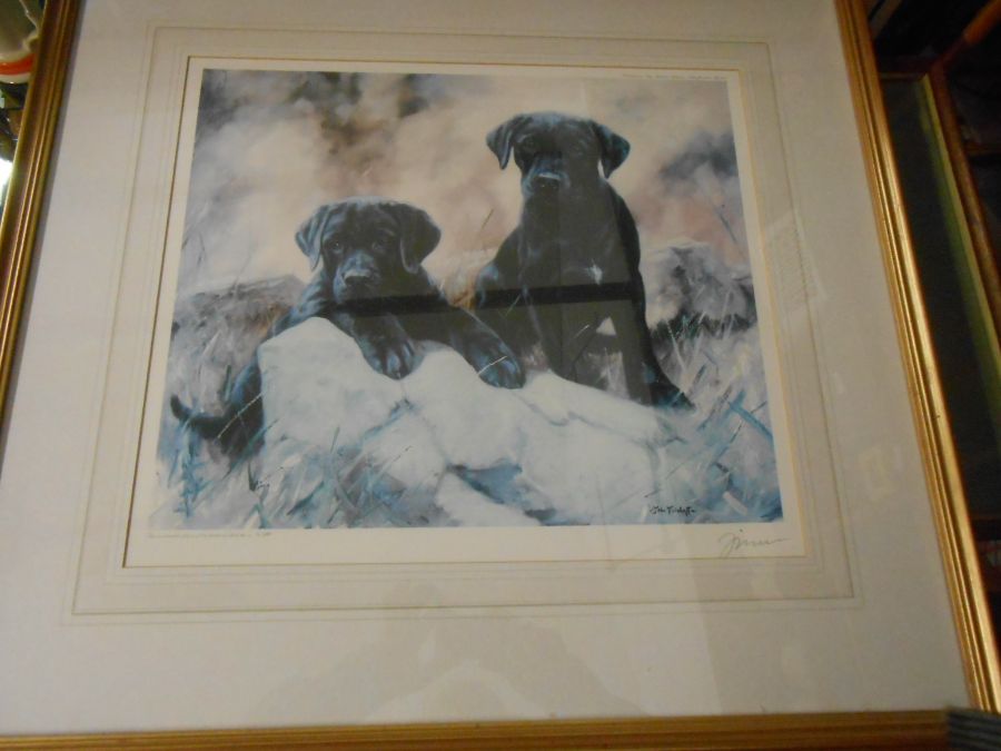 JOHN TRICKETT Limited Edition Dog Print no 280 of 850 18 x 15 inches. signature in margin