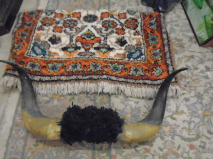 Byson/ cow? horns (large 87cm horn to horn) from Millwall wrestling competition and wool rug