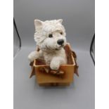 Leonardo Scottie in a box