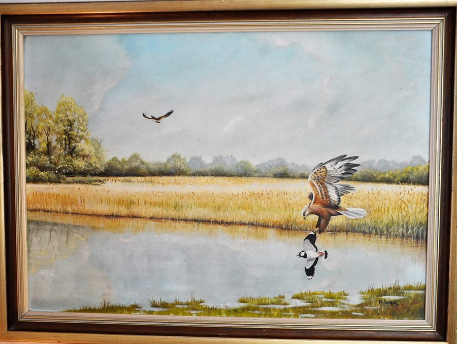 P. Welch (C 20th East Anglian Wildlife Artist) framed oil on board depicting Marsh Harriers over the