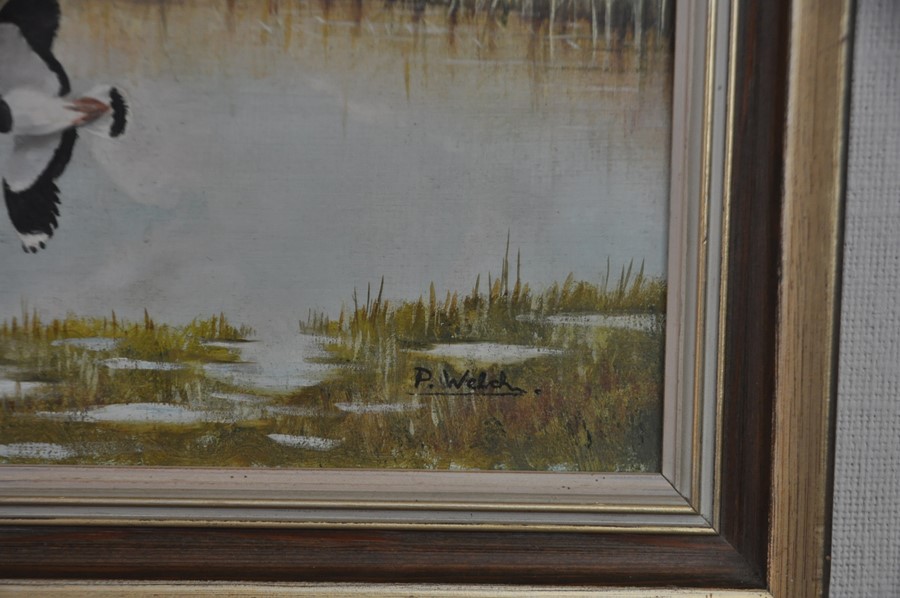 P. Welch (C 20th East Anglian Wildlife Artist) framed oil on board depicting Marsh Harriers over the - Image 4 of 4