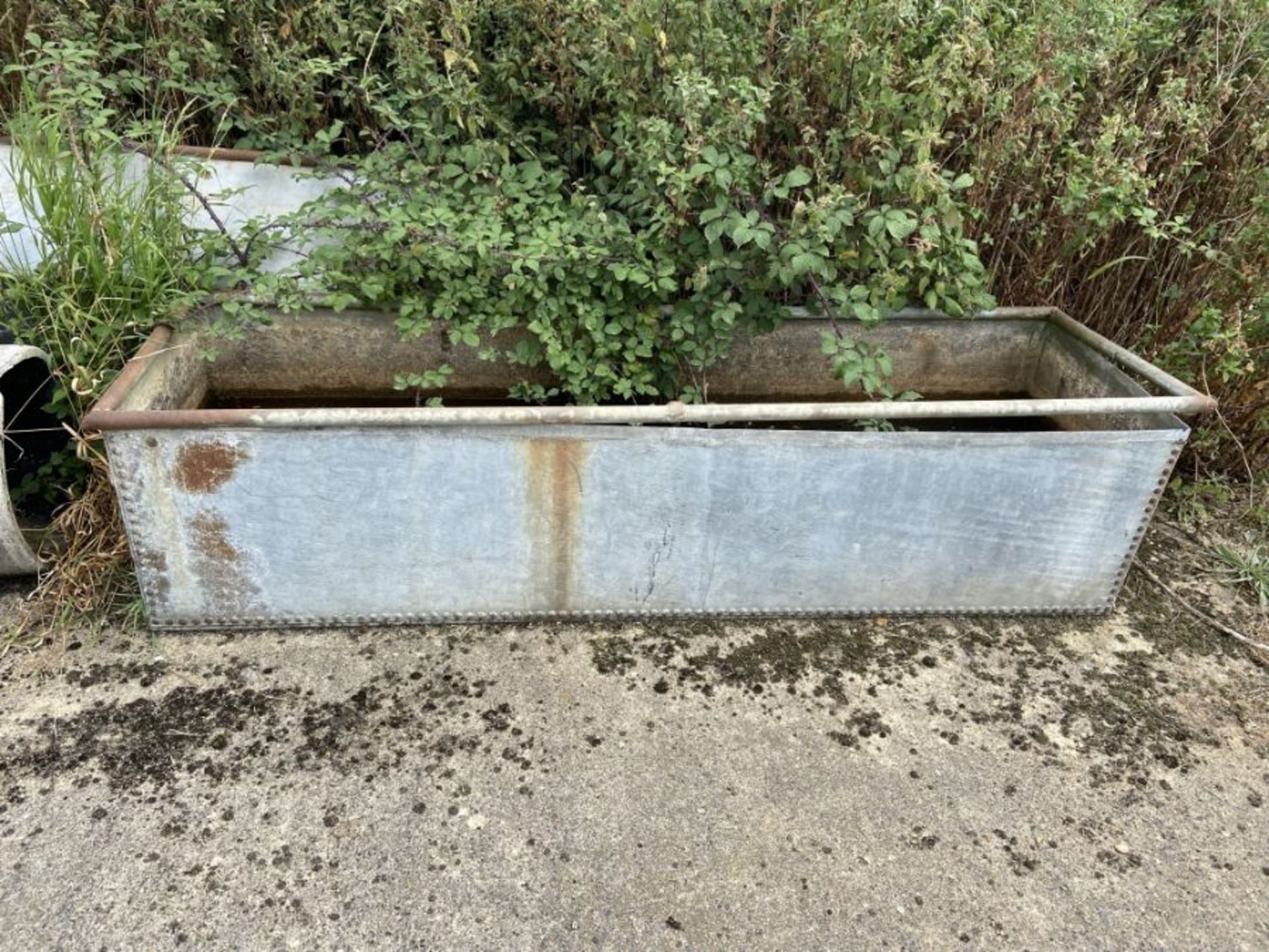 Galvanised water trough, studded