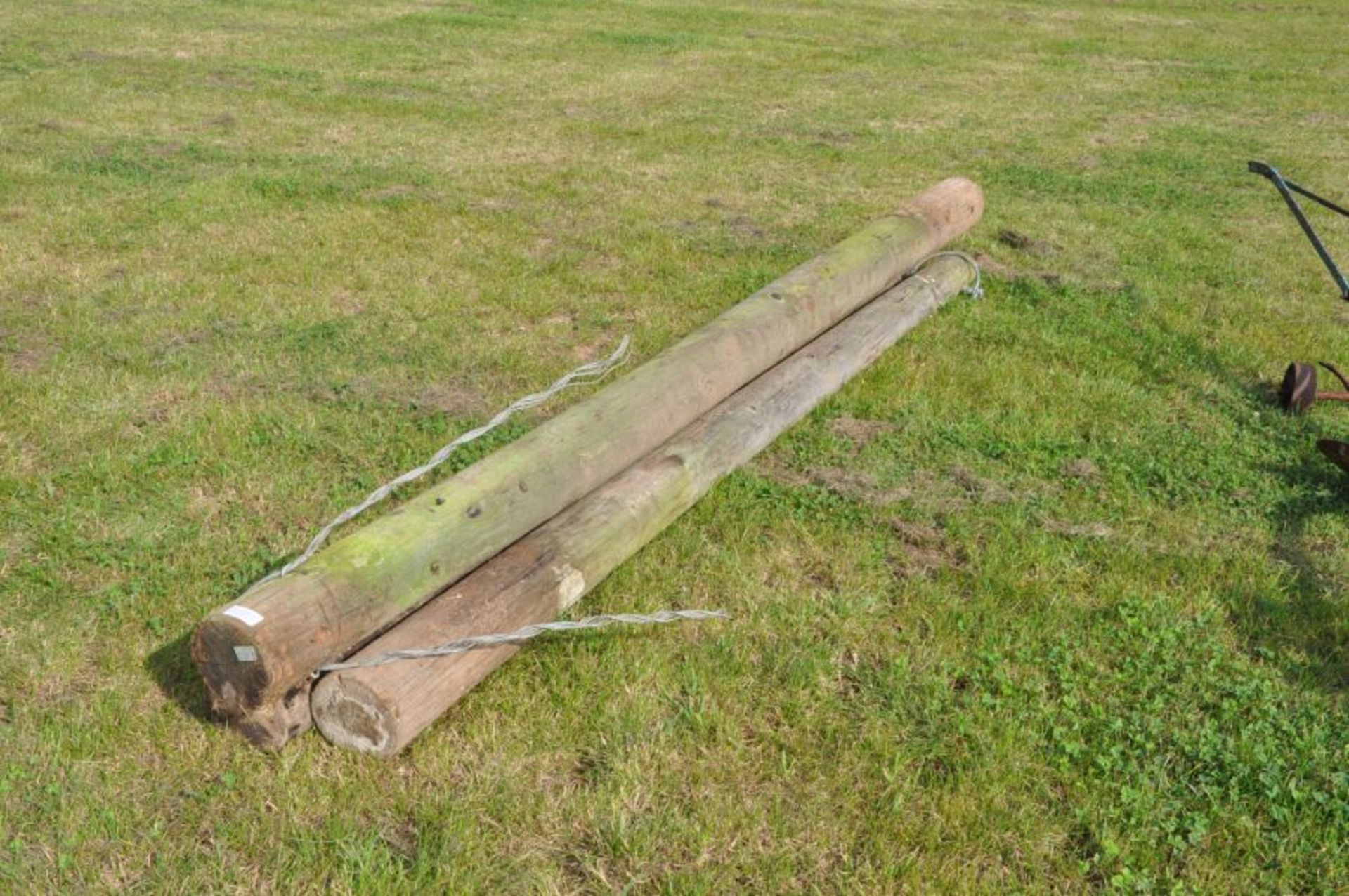 Quantity of ex-telegraph poles of various lengths some full length approximately 35-40 in total to