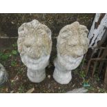 2 Concrete Lions 48 cm tall