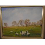 J Sheward oil on board local artist, of sheep on cock drove Downham mkt, plus SHC watercolours