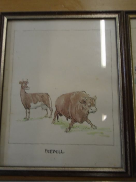 3 comical prints of cattle - Image 3 of 4