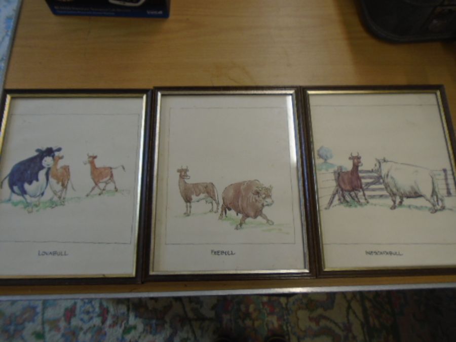3 comical prints of cattle