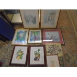 framed pictures bundle