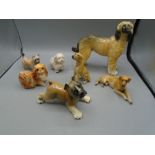 Collection of Dogs, various breeds with glazed finidh