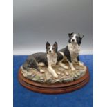 Border Fine Arts 'Eager To Learn' B0589 - two sheep dogs designed by M Turner on Wood plinth