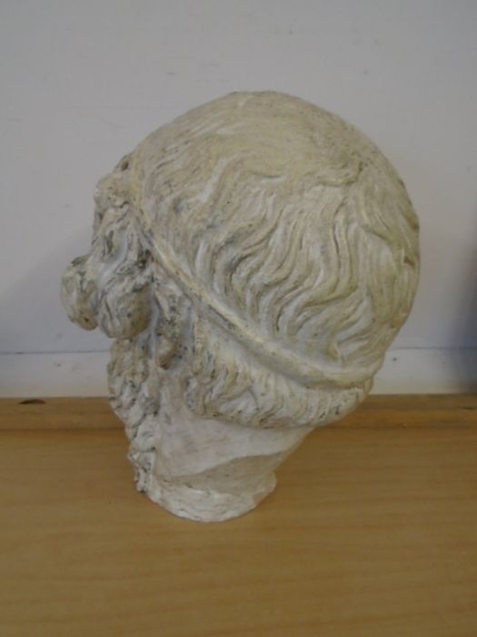 Georgian plaster roman head - Image 4 of 4