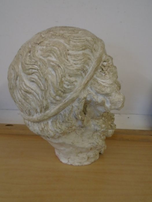 Georgian plaster roman head - Image 3 of 4