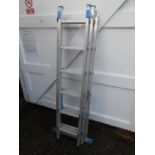 Telescopic ladder