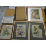 a portfolio of prints and watercolours plus 2 embr