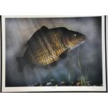James Green limited print 751/850 "common" perch, signed and numbered in pencil bottom right margin,