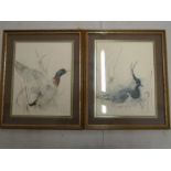 signed watercolours of a Mallard and a Lapwing