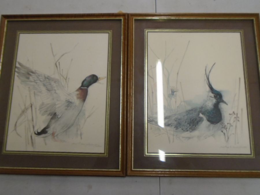 signed watercolours of a Mallard and a Lapwing - Image 2 of 4