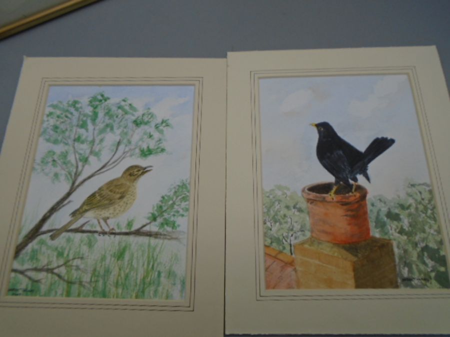 West Highland terrier print and picture with 2 bird paintings - Image 4 of 4