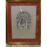 Robin Elvin pencil sketch of an Afghan hound 18x23"