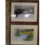 2 Norfolk broads framed photo's, one of cattle and one of vintage harvesting