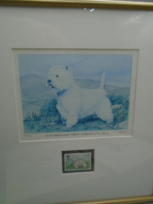 West Highland terrier print and picture with 2 bird paintings - Image 3 of 4