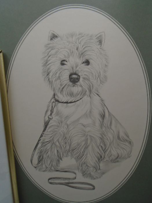 West Highland terrier print and picture with 2 bird paintings - Image 2 of 4