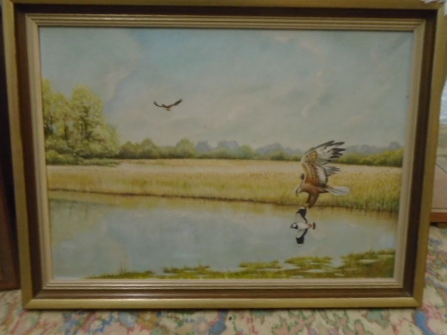 P. Welch (c20th east anglian wildlife artist) oil on board depicting marsh harriers flying over